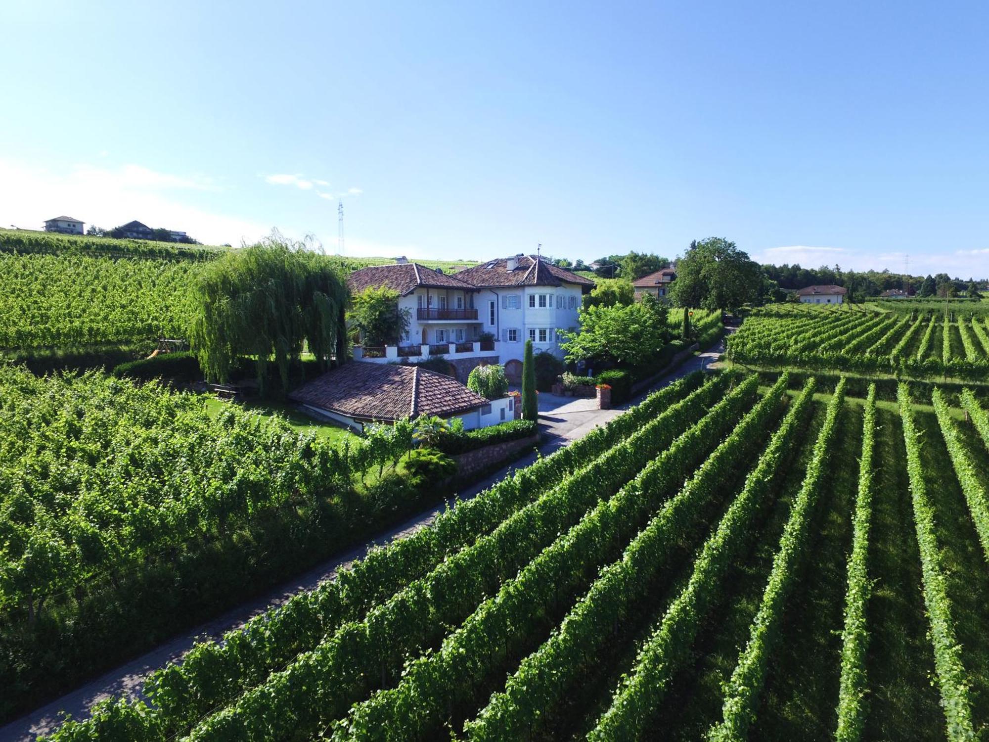 Weinhof Mumelter Daire Appiano Sulla Strada Del Vino Dış mekan fotoğraf
